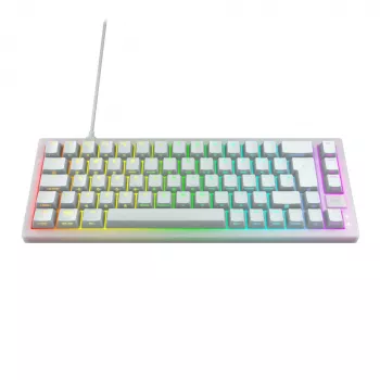 CHERRY K5V2 Kompaktiška klaviatūra Žaidimų USB QWERTZ Vokiška Balta 68 klavišų RGB LED