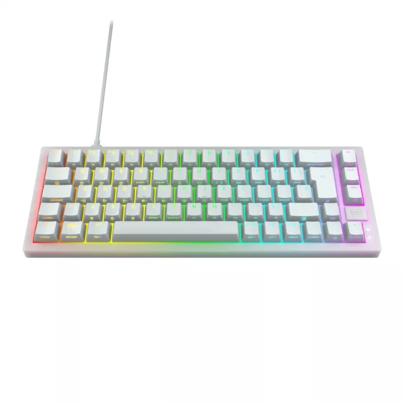 CHERRY K5V2 Kompaktiška klaviatūra Žaidimų USB QWERTZ Vokiška Balta 68 klavišų RGB LED