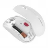 Pelė CHERRY MW 2200 RF Wireless
