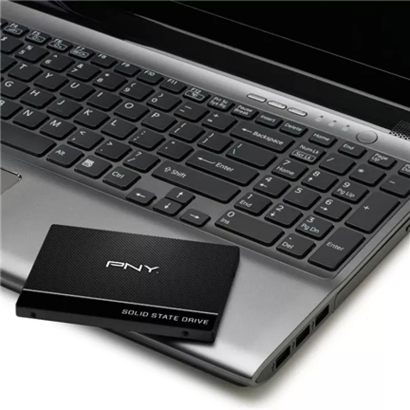 SSD diskas PNY CS900 250 GB 2,5 colio SATA III (SSD7CS900-250-RB)
