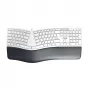 CHERRY KC 4500 ERGO ergonominė klaviatūra, universali, USB, QWERTZ, vokiška, balta