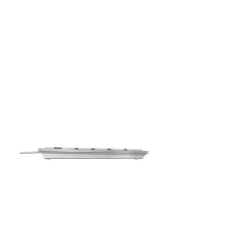 CHERRY KC 6000C FOR MAC klaviatūra, universali, USB, QWERTZ, sidabrinė