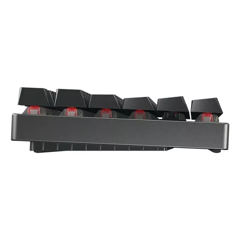 CHERRY MX 8.2 TKL Wireless RGB klaviatūra žaidimams, USB + RF Wireless + Bluetooth, QWERTZ vokiškas, juoda