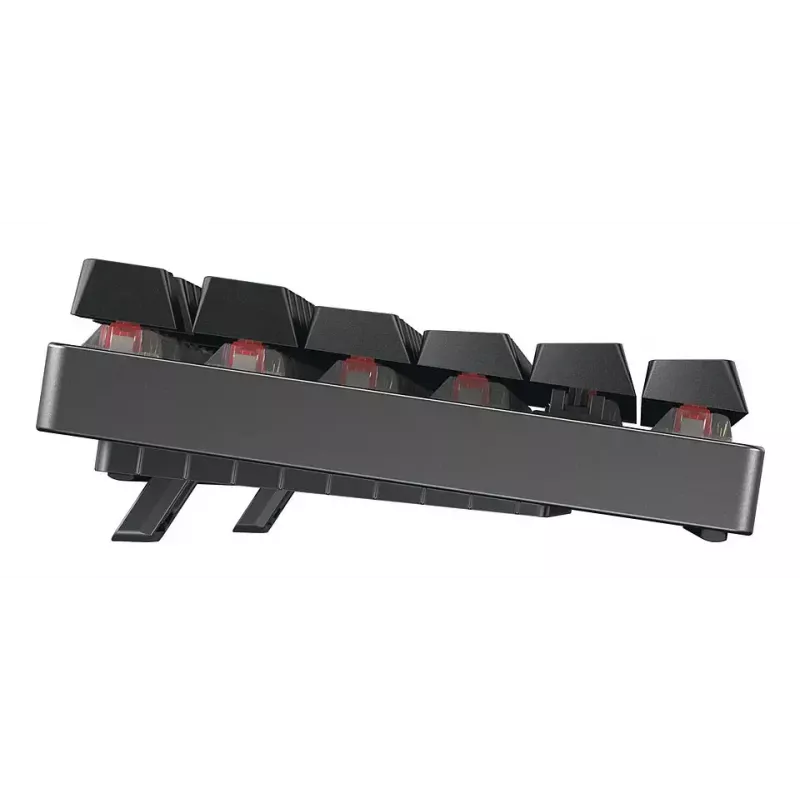 CHERRY MX 8.2 TKL Wireless RGB klaviatūra žaidimams, USB + RF Wireless + Bluetooth, QWERTZ vokiškas, juoda