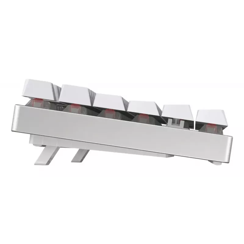CHERRY MX 8.2 TKL Wireless RGB klaviatūra, gaming, USB + RF Wireless + Bluetooth, QWERTZ vokiškas, balta