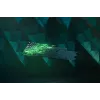 Žaidimų klaviatūra „Razer Huntsman V2“ (RZ03-03931000-R3G1)