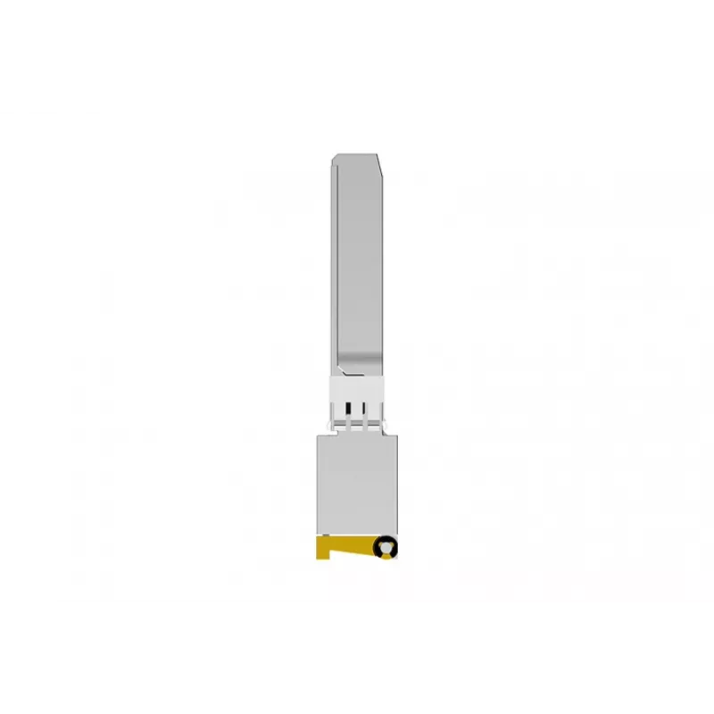 NETGEAR AXM765 SFP+ 10GBase-T RJ-45 siųstuvas-imtuvas, ryšys iki 80 m