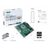 ASUS PRO Q870M-C-CSM Intel® Q870 LGA 1851 (Socket V1) micro ATX pagrindinė plokštė