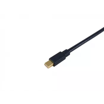 Equip Mini DisplayPort į DisplayPort laidas, V/V, 2,0 m