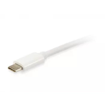 Equip Platinum USB Type C laidas, 2 m, USB 3.2 Gen 2, 10 Gbit/s, balta