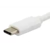 Equip Platinum USB Type C laidas, 2 m, USB 3.2 Gen 2, 10 Gbit/s, balta