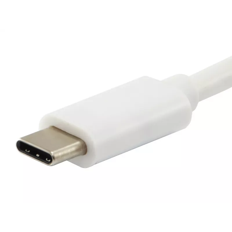 Equip Platinum USB Type C laidas, 2 m, USB 3.2 Gen 2, 10 Gbit/s, balta