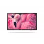 Philips 43HFL4014/12 profesionalus viešbučio televizorius 109,2 cm (43 col.) Full HD 250 cd/m² Juodas 16 W