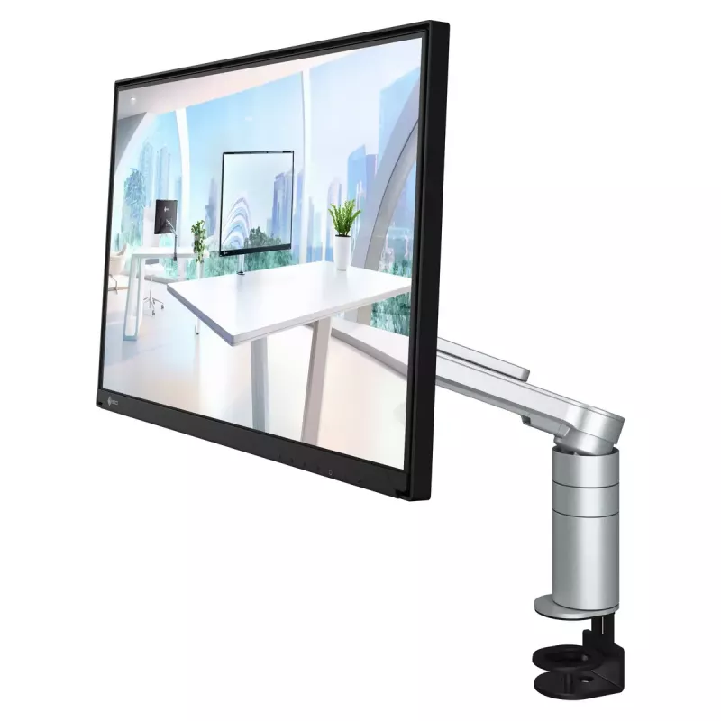 EIZO FlexScan FLT monitorius 60,5 cm (23,8 colio) 1920 x 1080 pikselių Full HD LCD juodas