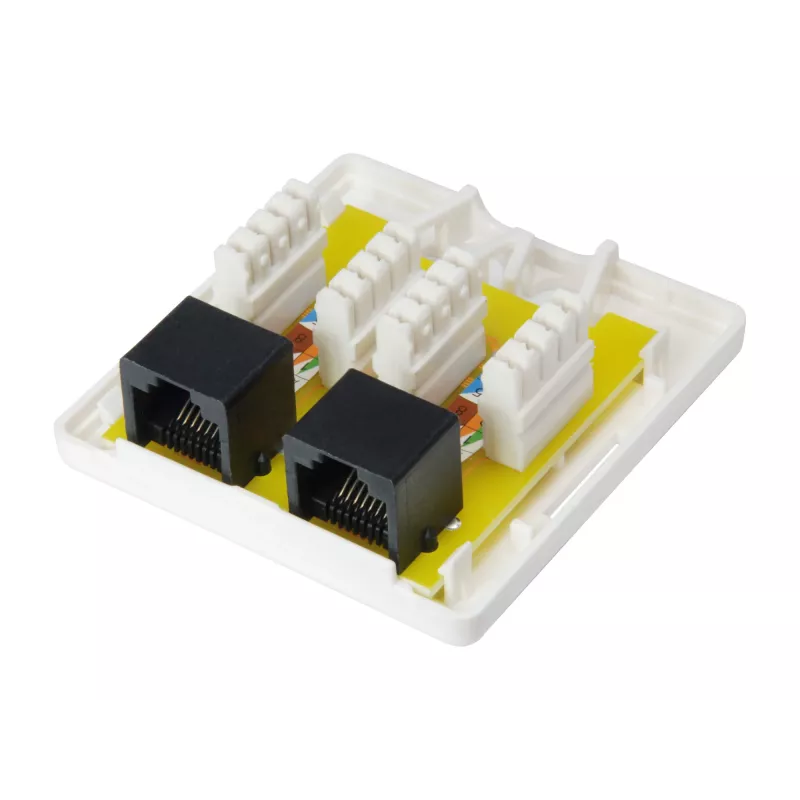 Paviršinė montavimo dėžutė Equip 2 prievadai Cat.6 235214