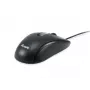 EQUIP 245116 USB-C kompaktiška pelė, USB Type-C, juoda