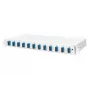 DIGITUS Fiber Optic Sliding Splice Box, 1U, su 12x SC duplex, M25 sraigtu, sujungimo kasete, spalvotais pigtailiais OS2, adapteriais