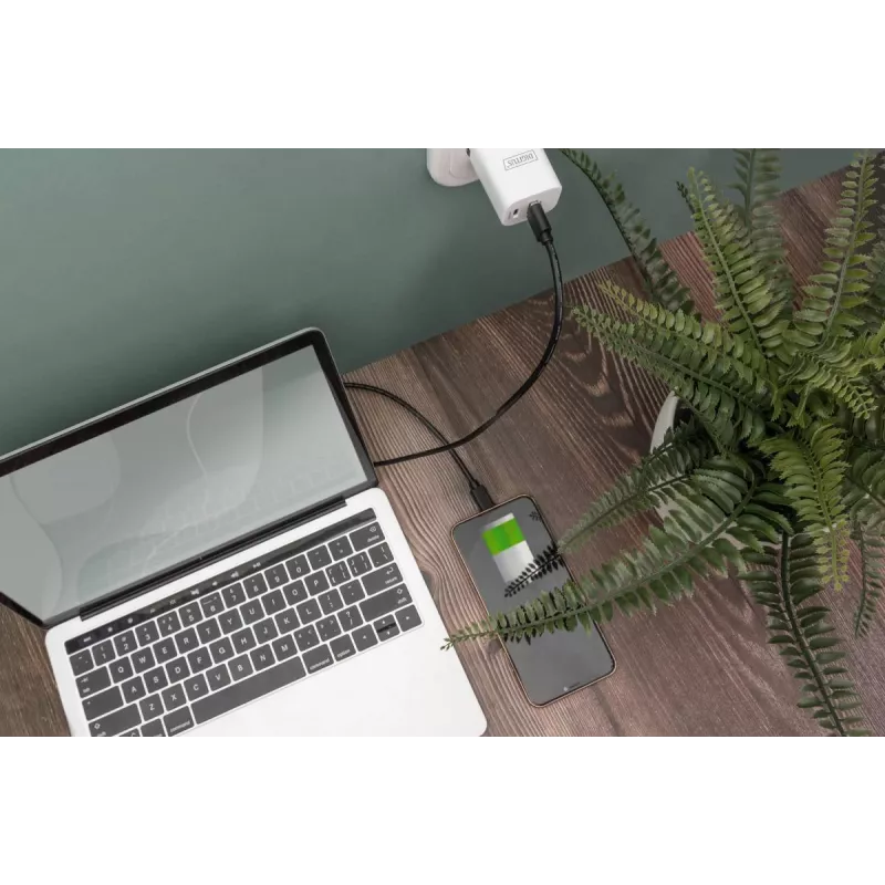 DIGITUS ASSMANN USB Type-C jungiamasis laidas, C į A M/M, 3 m, 3 A, 480 Mbps, 2.0 versija, juoda