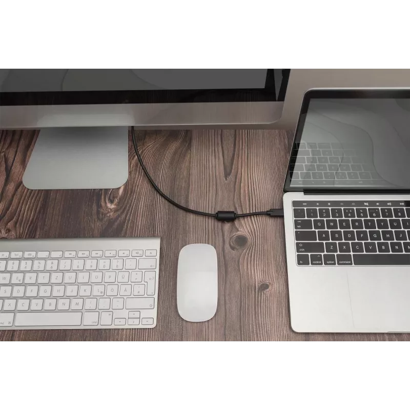 DIGITUS USB Type-C adapterinis kabelis, Type-C → DP M/M, 2 m, 4K/60 Hz, 32,4 Gb/s, CE, juoda