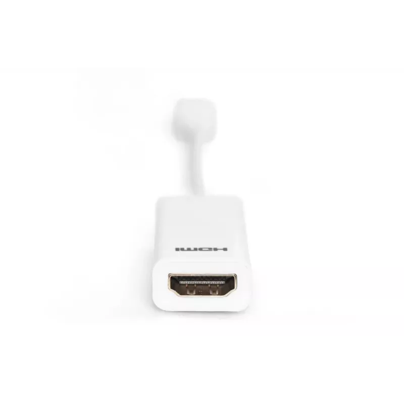 DIGITUS ASSMANN DisplayPort adapterio laidas, mini DP - HDMI A tipas M/F, 15 cm, DP 1.1a suderinamas, CE, baltas