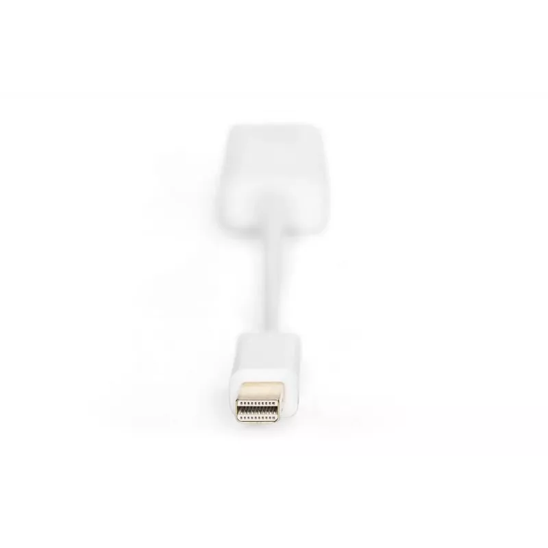 DIGITUS ASSMANN DisplayPort adapterio laidas, mini DP - HDMI A tipas M/F, 15 cm, DP 1.1a suderinamas, CE, baltas