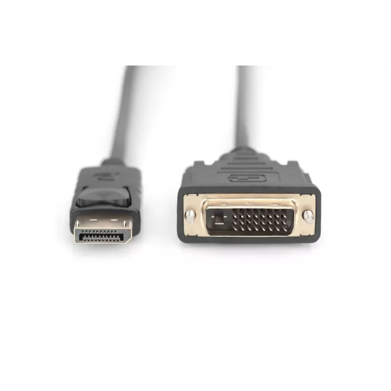 DIGITUS DisplayPort adapterinis kabelis, DP - DVI (24+1) M/M, 2m su užraktu, DP 1.1a CE juodas