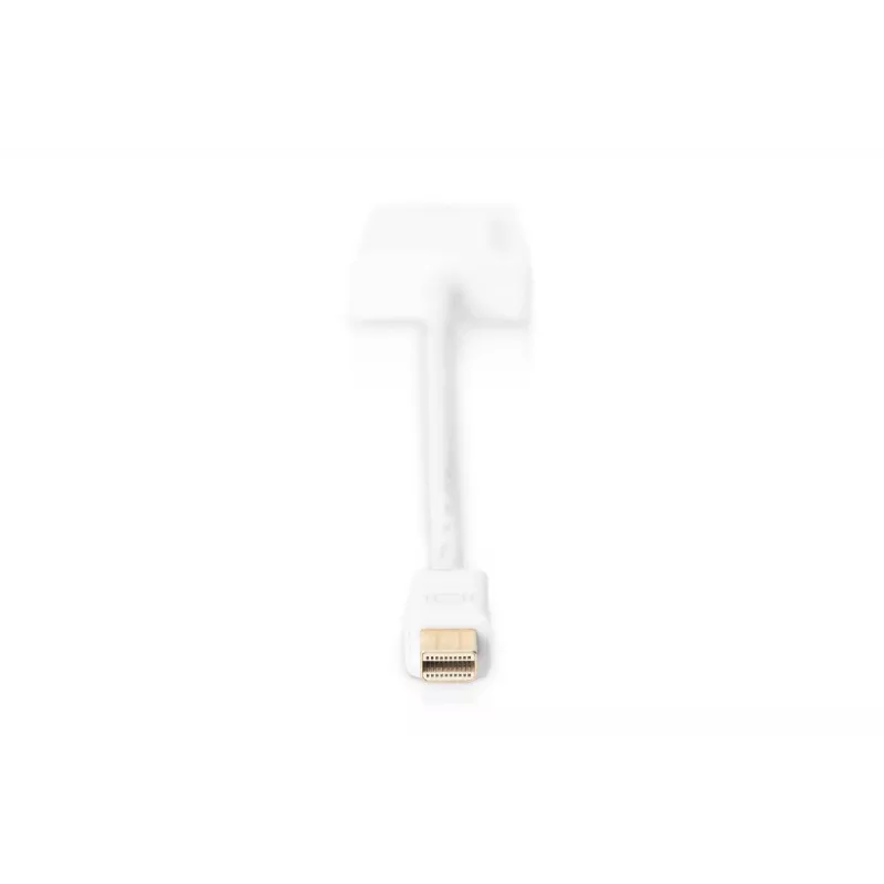 DIGITUS ASSMANN adapterinis kabelis DisplayPort, mini DP - HDMI A tipo M/F, 20 cm, HDMI 2.0, aktyvus, CE, auksinis, baltas