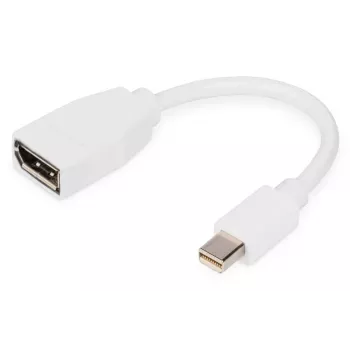 DIGITUS DisplayPort adapterio laidas, mini DP - DP M/F, 0,15 m, DP 1.2, baltas