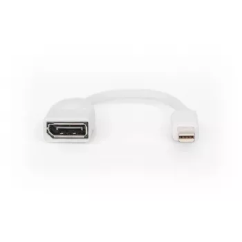 DIGITUS DisplayPort adapterio laidas, mini DP - DP M/F, 0,15 m, DP 1.2, baltas