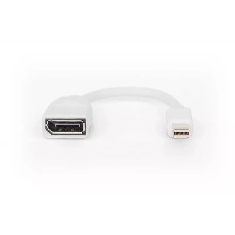 DIGITUS DisplayPort adapterio laidas, mini DP - DP M/F, 0,15 m, DP 1.2, baltas
