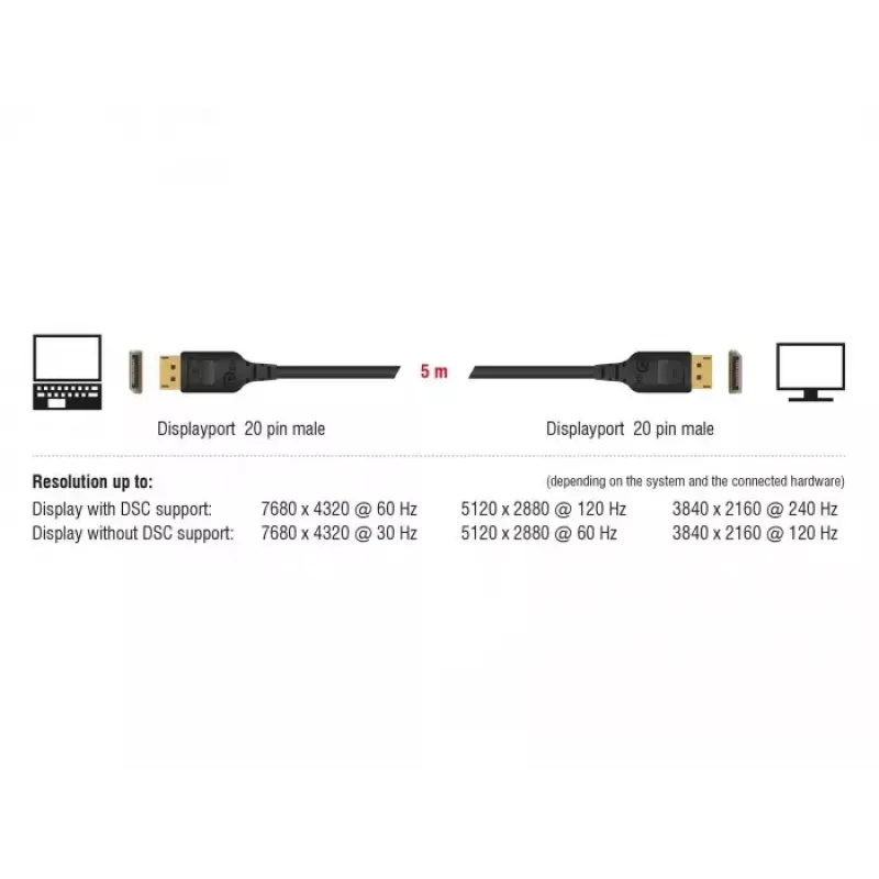 DisplayPort kabelis DeLOCK 85660 2 m Juoda