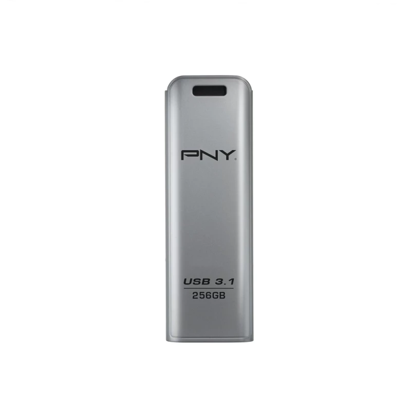 PNY ELITE STEEL 256GB USB atmintukas USB 3.1