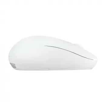 ASUS Fragrance MD101 pelė, namų, ambidekstrinė, RF belaidė + Bluetooth, optinė, 2400 DPI