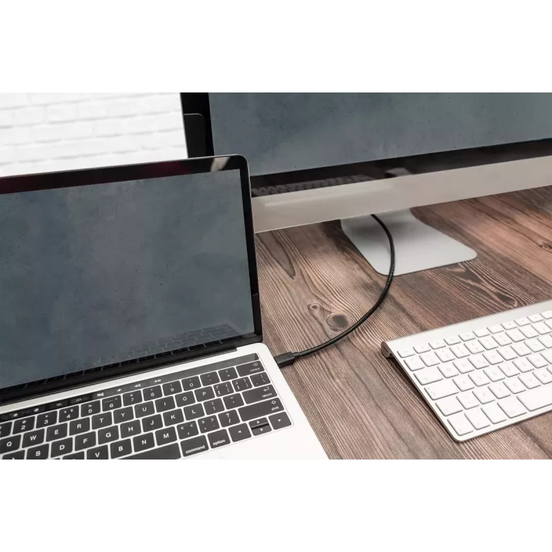 DIGITUS USB Type-C jungiamasis laidas, tipas C į C, M/M, 1 m, Gen2, juodas (AK-300139-010-S)