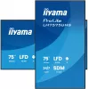 iiyama LH7575UHS-B2AG Skaitmeninės reklamos ekranas 190,5 cm (75 colių) LCD Wi-Fi 500 cd/m² 4K Ultra HD Juodas su integruotu procesoriumi Android 11 24/7