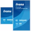 IIYAMA LH6581UHSG-1AG reklaminis ekranas 163,8 cm (64,5 colio) belaidis ryšys 500 cd/m² 4K Ultra HD baltas su integruotu procesoriumi Android 24/7