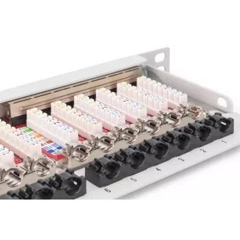 DIGITUS skydinis lizdų blokas CAT6A EA ekranuotas, 24 prievadų RJ45 dulkių dangteliai, 8P8C, 0,5U, pilkas RAL 7035