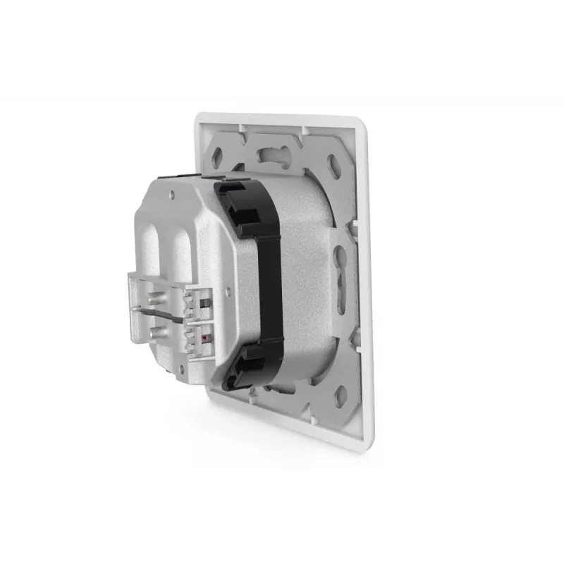 DIGITUS CAT6A Class EA tinklo lizdas, ekranuotas 2x RJ45, LSA, balta spalva, įleidžiamas, 8 krypčių
