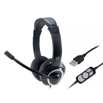 Ausinės Conceptronic POLONA USB