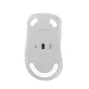 ASUS MD102 belaidė pelė, RF Wireless + Bluetooth, optinė, 1600 DPI