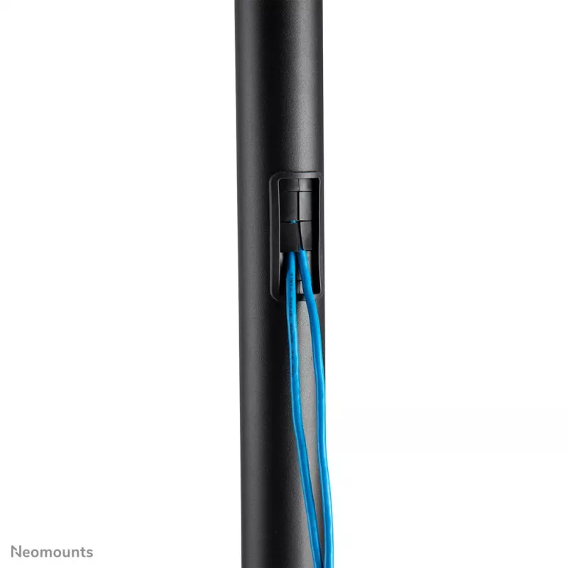 Neomounts FL50-550BL1 mobilus TV stovas 37-70 colių, juodas