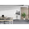Neomounts FL50-550BL1 mobilus TV stovas 37-70 colių, juodas