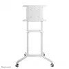 Neomounts NS-M1250WHITE mobilus stovas televizoriui 37-70 colių - sukamas