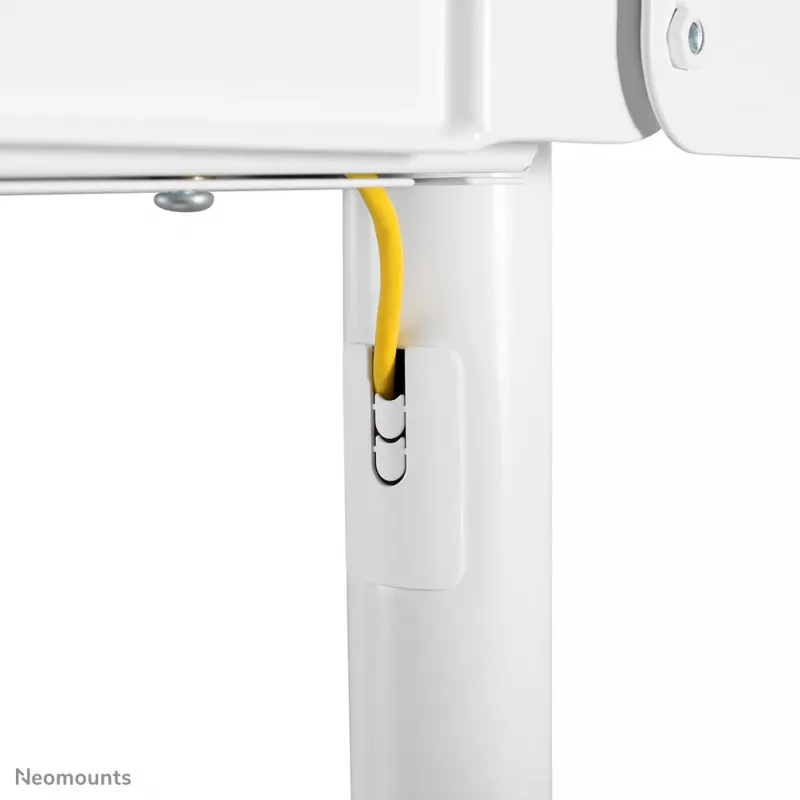 Neomounts NS-M1250WHITE mobilus stovas televizoriui 37-70 colių - sukamas