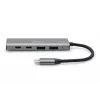 DIGITUS USB-C 4 prievadų HUB 2x USB-A + 2x USB-C Gen2 DA-70245