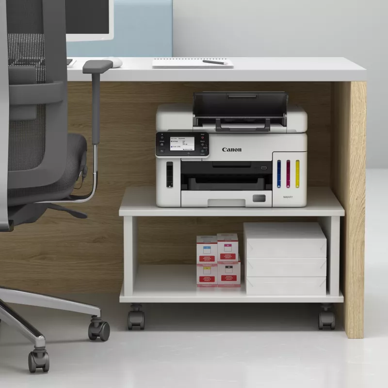 Canon MAXIFY GX6550 rašalinis daugiafunkcis įrenginys A4 600 x 1200 DPI Wi-Fi