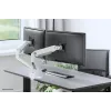 Neomounts DS70S-950WH2 Monitorinis laikiklis 17-35 colių - dujinė spyruoklė - Topfix - 180° stabdis