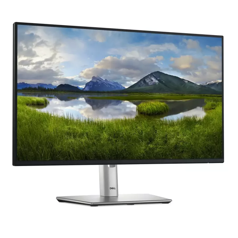 DELL Pro Plus P2425HE monitor 60,5 cm (23,8 colio) 1920 x 1080 pikselių Full HD LCD juodas