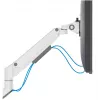 Neomounts DS70-250WH1 Monitorinis laikiklis 17-35 colių - dujinė spyruoklė - Topfix - 180° stabdys