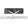 Neomounts DS70-250WH2 Monitorinis laikiklis 17-32 colių - dujinė spyruoklė - Topfix - 180° stabdiklis